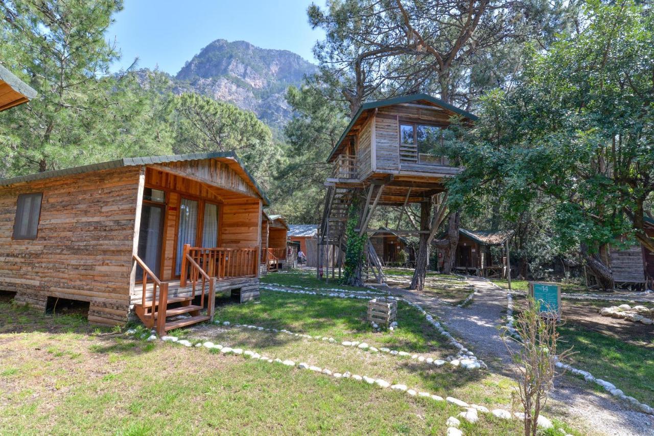 Sea Valley Lodge Faralya Bagian luar foto