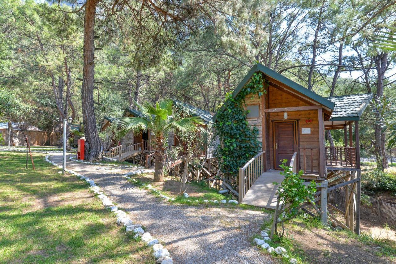 Sea Valley Lodge Faralya Bagian luar foto