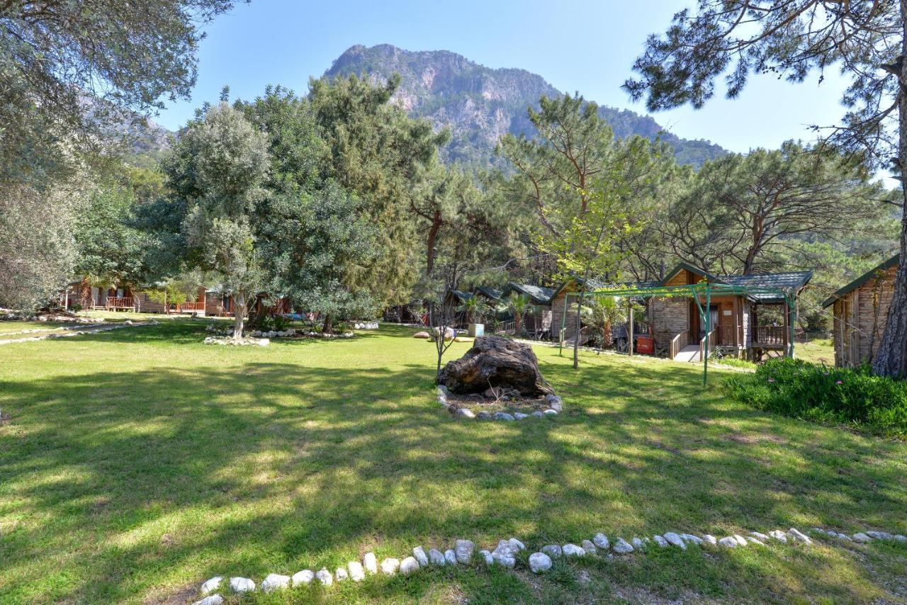 Sea Valley Lodge Faralya Bagian luar foto